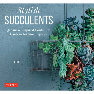 Stylish Succulents