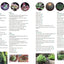 Succulents Made Easy: A Beginner's Guide (Featuring 200 Varieties)
