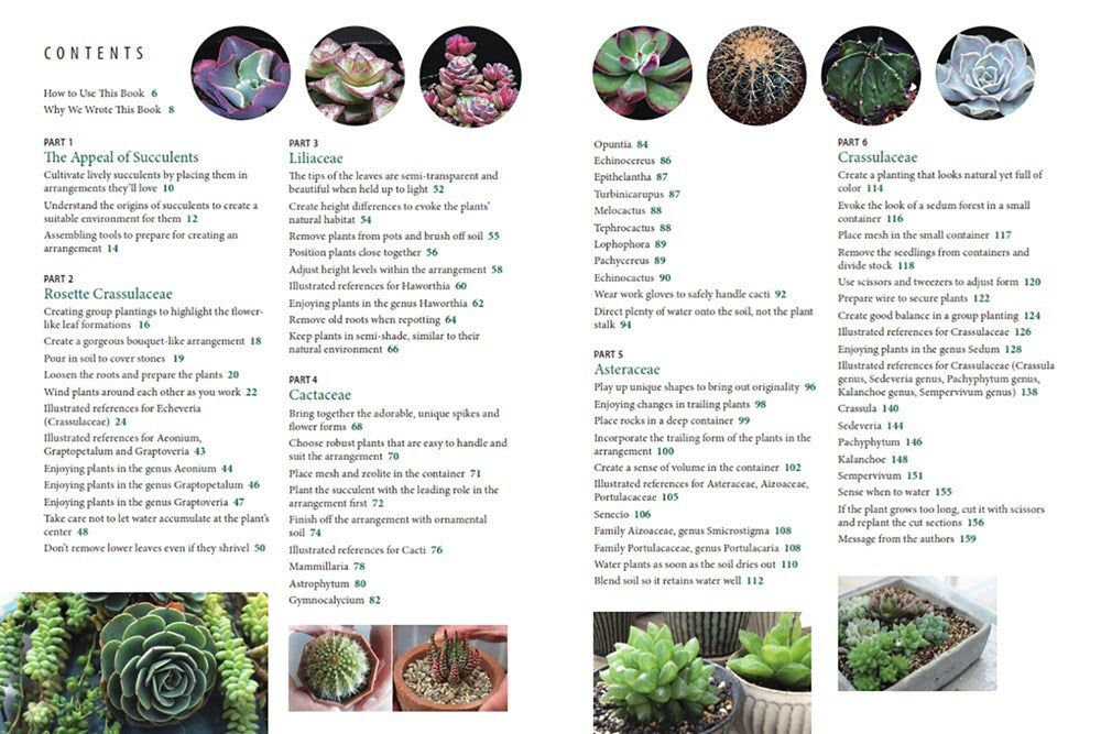 Succulents Made Easy: A Beginner's Guide (Featuring 200 Varieties)
