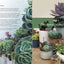 Succulents Made Easy: A Beginner's Guide (Featuring 200 Varieties)