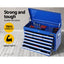 TB-10DR-CHEST-BL-202502281510-03.jpg