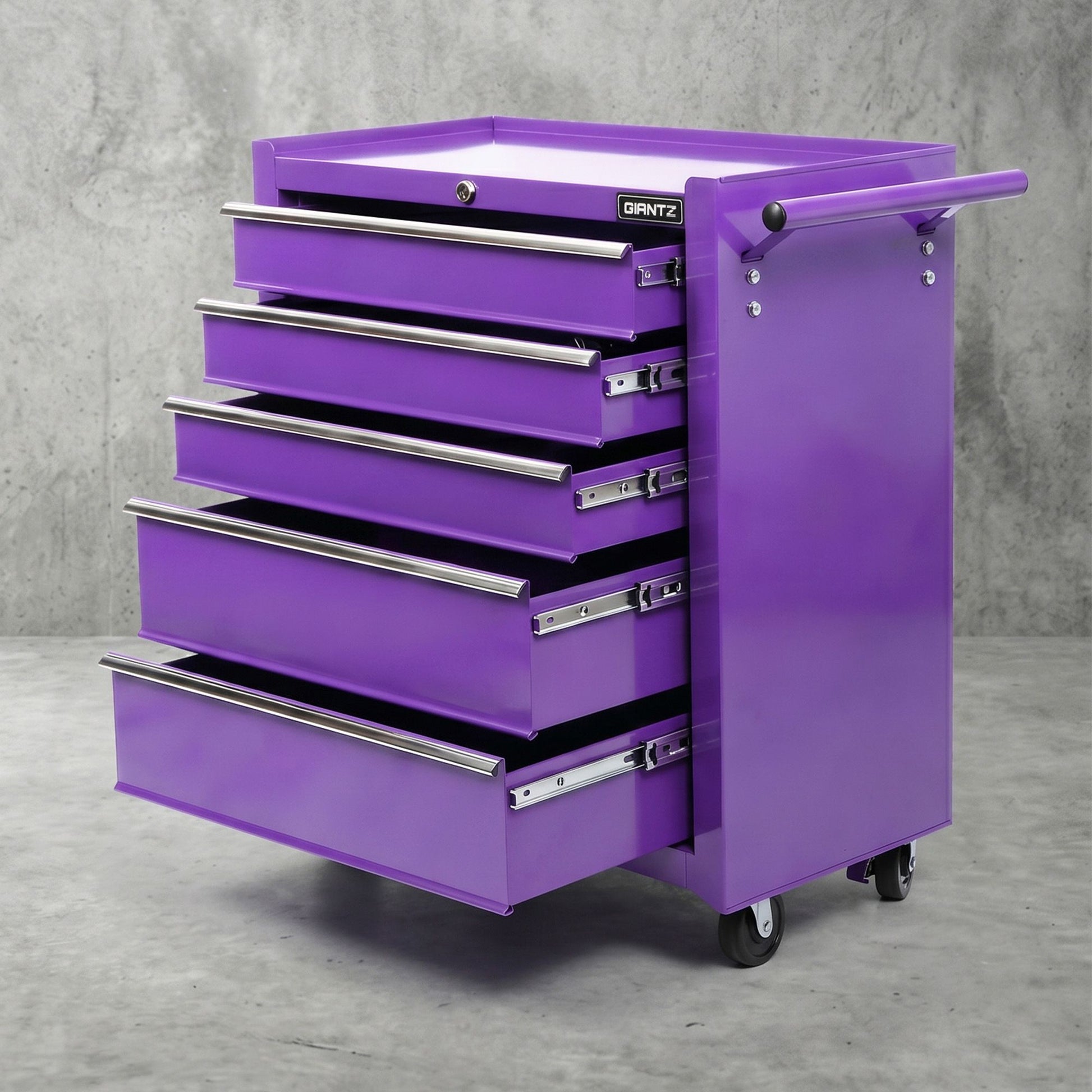 TB-5DR-ROLL-PUR-00.jpg