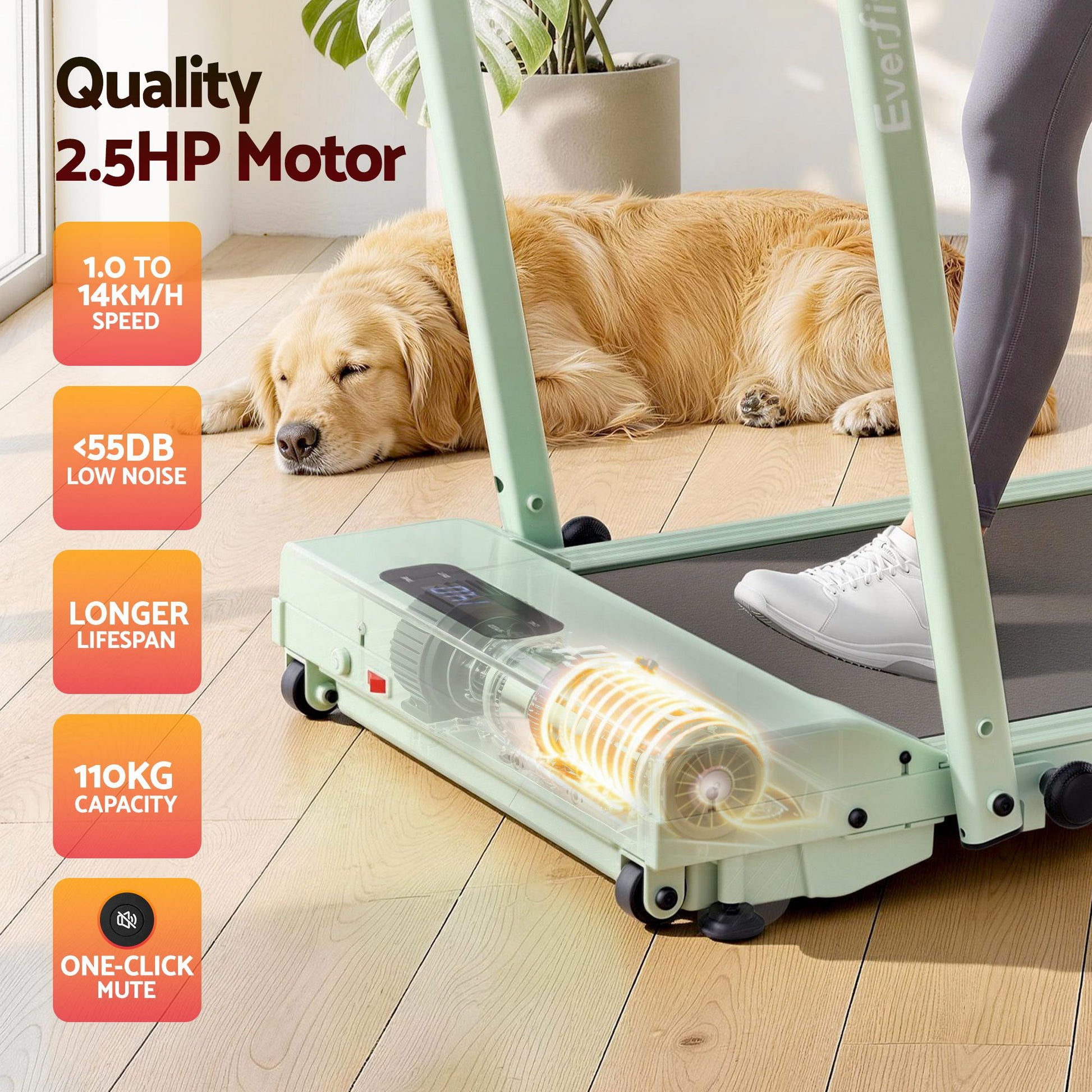 TMILL-380H-2INC-GN-09.jpg