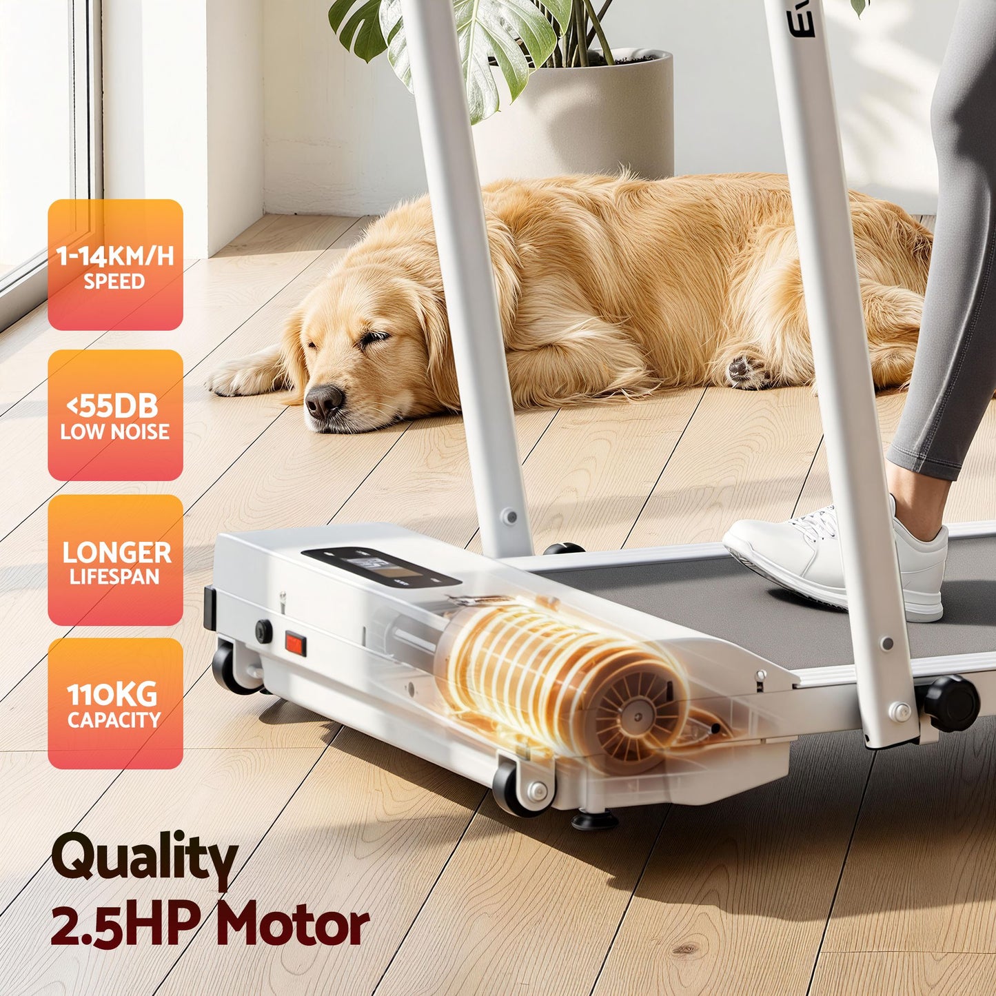 TMILL-380H-2INC-L-WH-07.jpg
