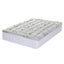 TOPPER-BAM-11-Q-202508041805-00.jpg