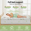 TOPPER-BAM-11-Q-202508041805-03.jpg