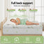 TOPPER-BAM-11-S-202508041912-03.jpg