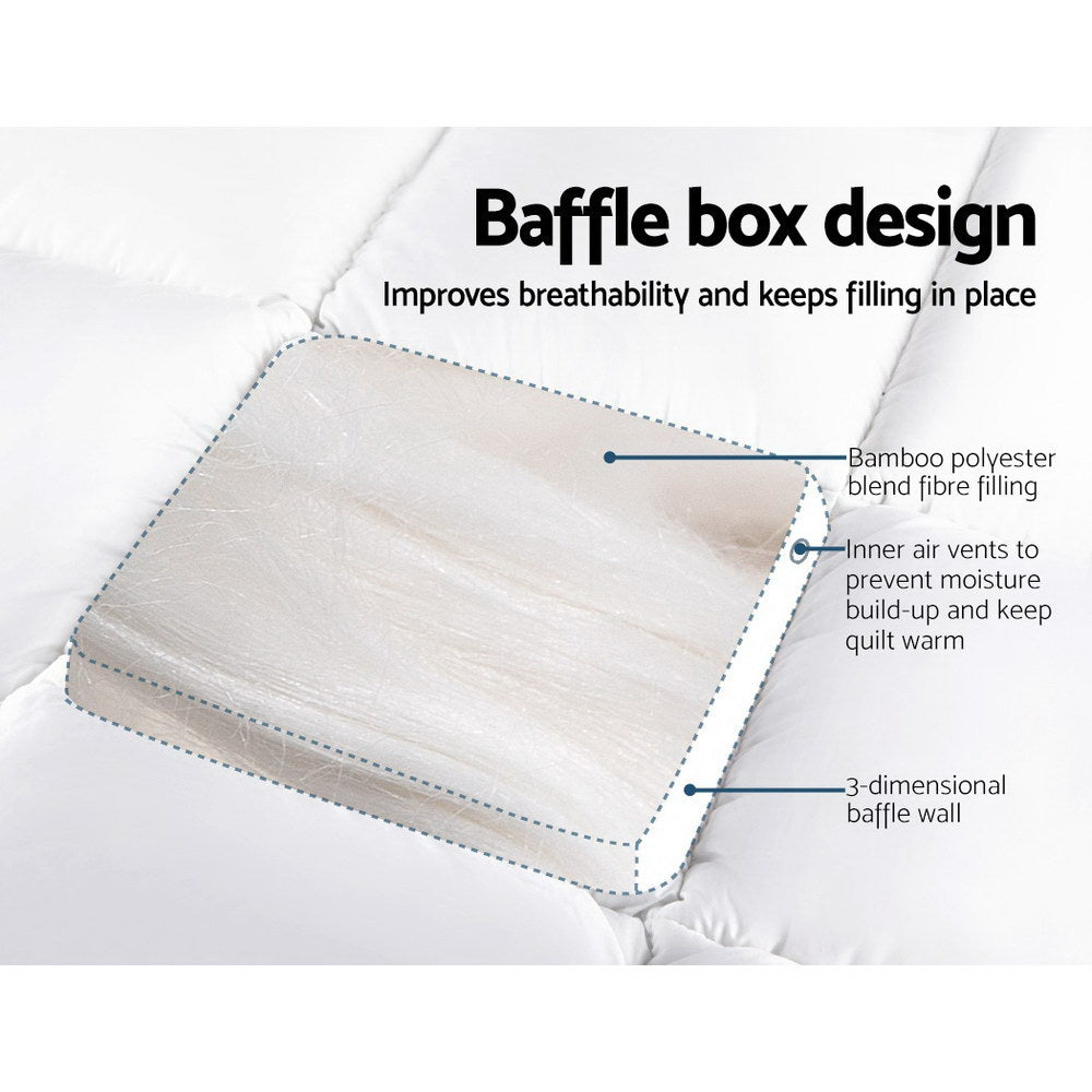 TOPPER-BAM-Q-202502281426-03.jpg