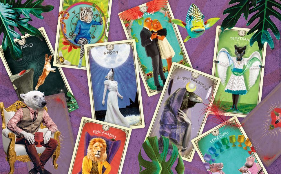Tarot of Curious Creatures