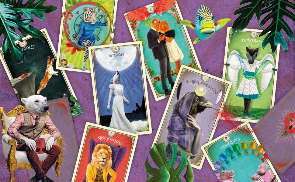 Tarot of Curious Creatures