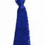 Teen Boys Kids Royal Blue Sequin Elastic Neck Tie