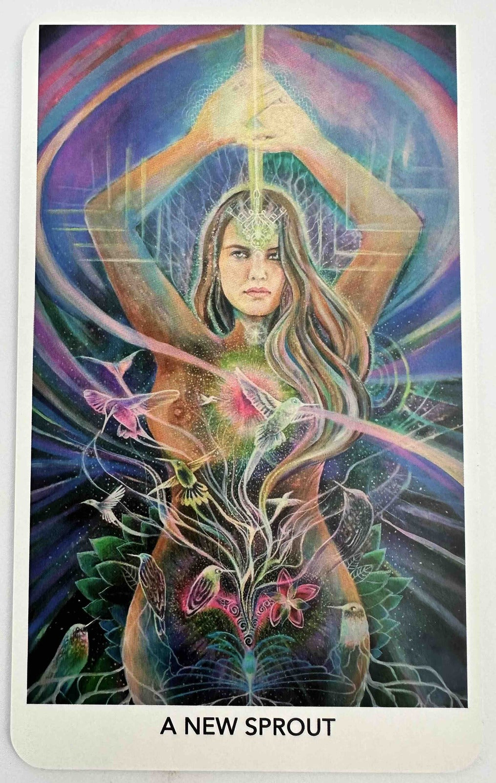 The Spiral Oracle Deck with Guidebook