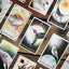 The Wild Unknown Animal Spirit Deck And Guidebook