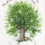 Tree Magick Oracle Deck, The: Includes 52 Cards and a 64-Page Illustrated Book