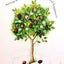 Tree Magick Oracle Deck, The: Includes 52 Cards and a 64-Page Illustrated Book