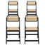 Artiss 4x Dining Chairs Wooden Rattan Foldable Black