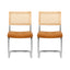Artiss Dining Chairs Set of 2 PU Leather Rattan Cantilever Brown