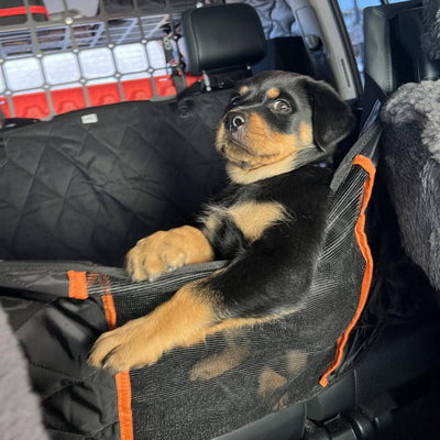 Ultimate Dog Car Hammock and Seat Belt Adaptor - Seat Covers For Your Car