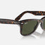 Unisex Ray Ban Sunglasses Rb2140 Original Wayfarer Classic Tortoise/Green - L