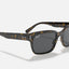 Unisex Ray Ban Sunglasses Rb2190 Jeffery Havana Transparent Brown Sunnies - L