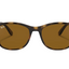 Unisex Ray Ban Sunglasses Rb4374 Havana Brown Sunnies