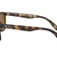 Unisex Ray Ban Sunglasses Rb4374 Havana Brown Sunnies