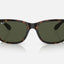 Unisex Ray Ban Sunglasses Rb4388 Polished Havana/ Green Sunnies - L