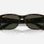 Unisex Ray Ban Sunglasses Rb4388 Polished Havana/ Green Sunnies - L