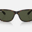 Unisex Ray Ban Sunglasses Rb4388 Polished Havana/ Green Sunnies - M