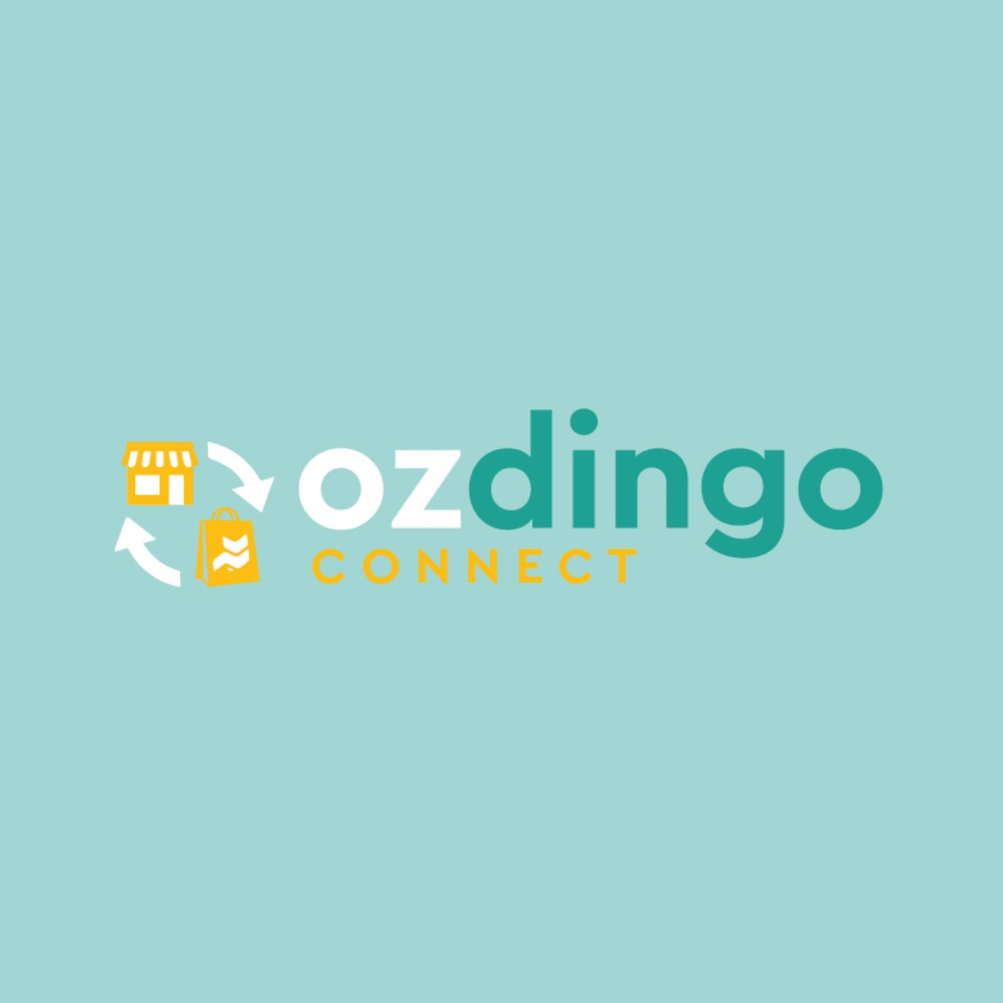 Ozdingo Connect Subscription up to 10 SKUs