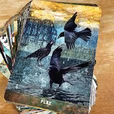 Urban Crow Oracle: A 54-Card Deck and Guidebook