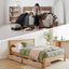 WBED-F-DRAW-OAT-SD-WD-X2-05.jpg