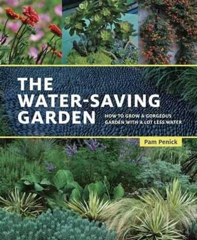 Water-Saving Garden