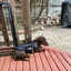 Waterproof Dog Jacket Rain Coat - Water Wind Resistant Small Breed Vest - Black
