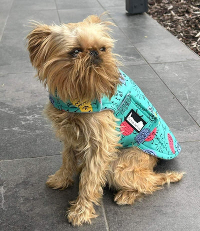 Waterproof Dog Jacket Rain Coat - Water Wind Resistant Small Breed Vest Green
