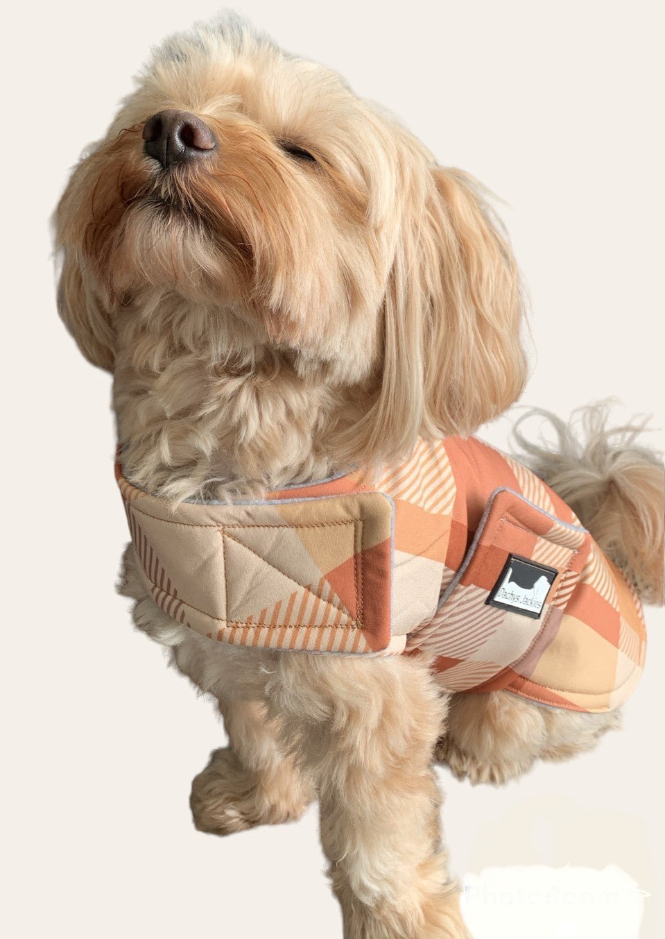 Waterproof Dog Jacket Rain Coat - Water Wind Resistant Small Vest - Caramel