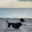 Waterproof Dog Jacket Rain Coat - Water Wind Resistant Small Vest Starry Nights