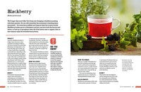 Wild Tea: Brew Your Own Infusions from Home-grown and Foraged Ingredients