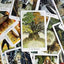 Wildwood Tarot