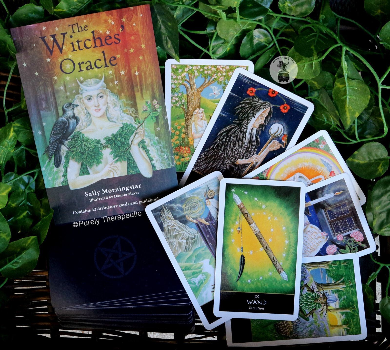 Witches' Oracle, The: Contains 42 Divinatory Cards and Guidebook