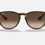 Womens Ray Ban Sunglasses Rb4171 Erika Classic Matte Havana/ Brown Sunnies