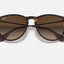 Womens Ray Ban Sunglasses Rb4171 Erika Classic Matte Havana/ Brown Sunnies