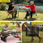 XFEL-TABLE-MESH-90-BK-202603311902-07.jpg