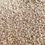 XFPH-CL-BM-3GR-01.jpg