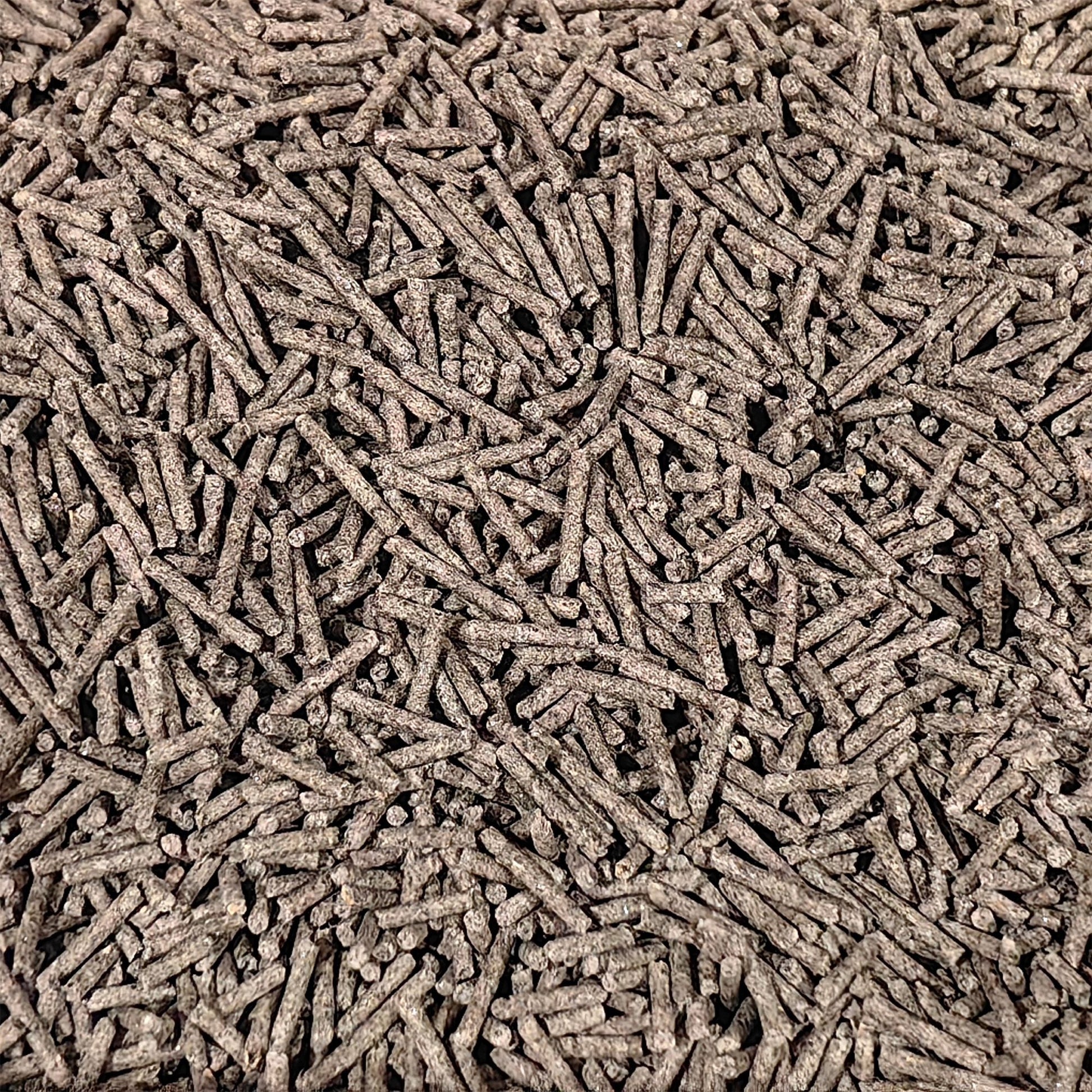XFPH-CL-GT-3PL-01.jpg