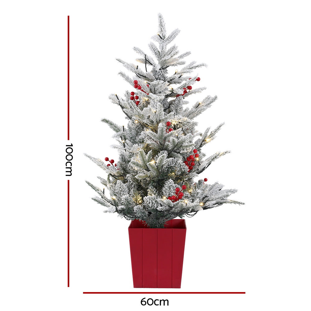 XM-TR-3FT-GS-LED-POT-202509042108-01.jpg