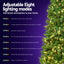 XM-TR-E-WELL-8F-LED-N-202509291639-04.jpg