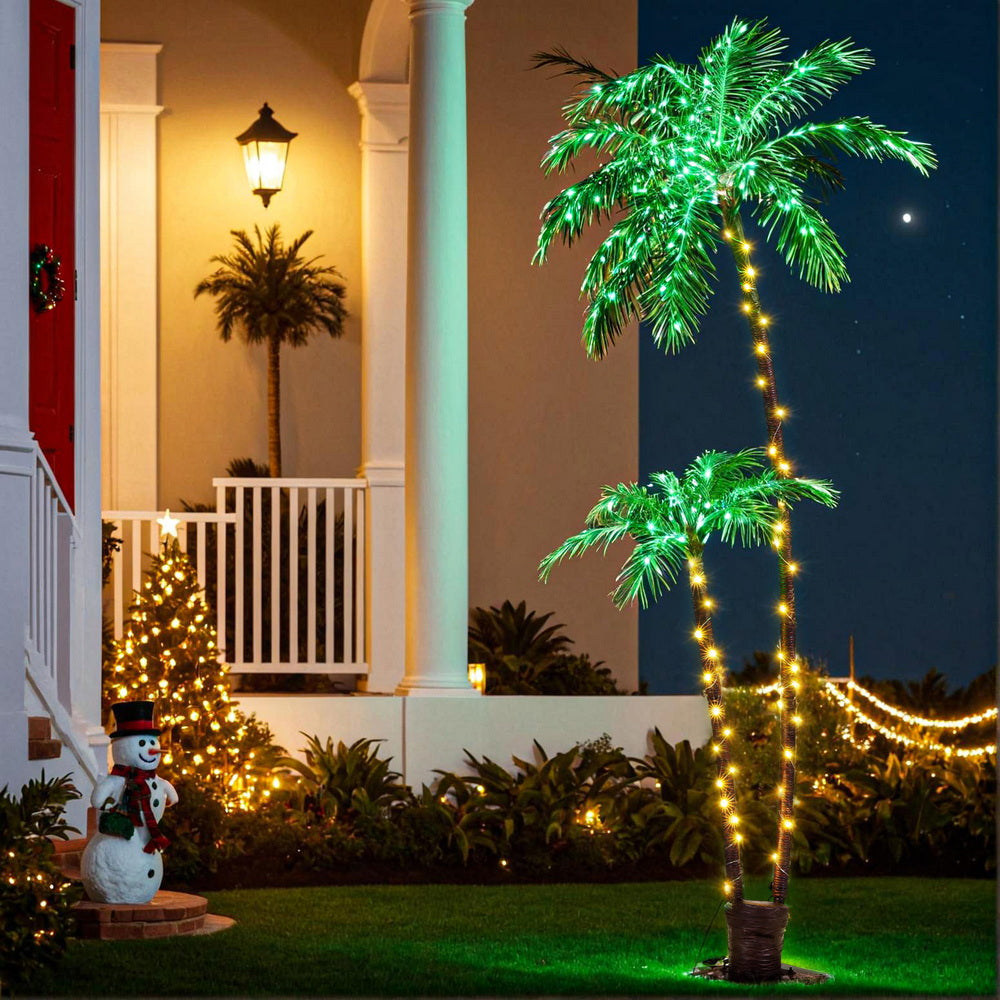 XM-TR-FAIRY-PALM01-202508191446-06.jpg