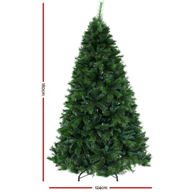 XM-TR-FULL-6F-PINE-01.jpg