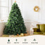 XM-TR-FULL-6F-PINE-202509291452-03.jpg
